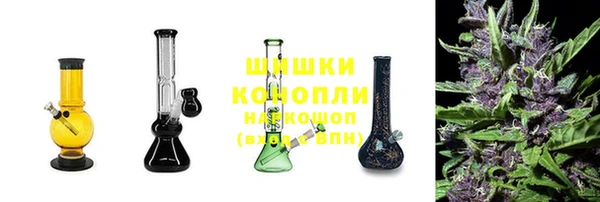 эйфоретик Магас