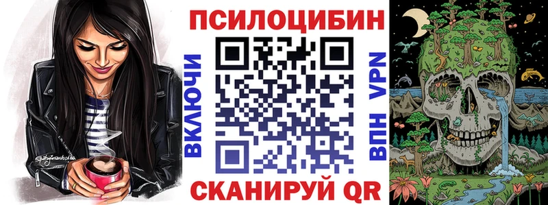 Галлюциногенные грибы Psilocybine cubensis  Тотьма 